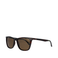 Rio Whiskey Tortoise Traveler Sunglasses