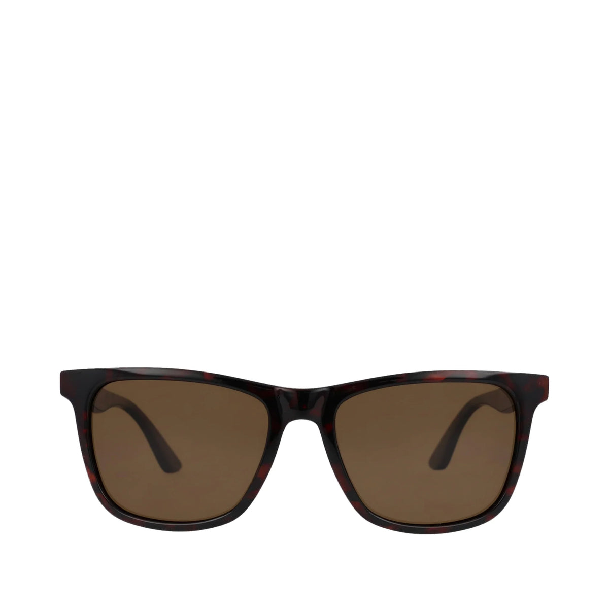 Roman Whiskey Tortoise Traveler Sunglasses