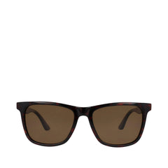 Roman Whiskey Tortoise Traveler Sunglasses